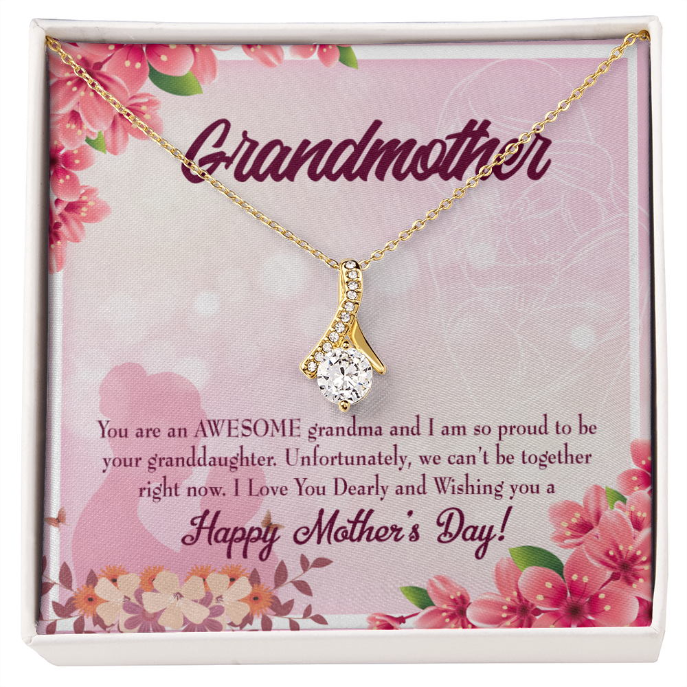 To My Grandmother Mothers Day Gift from Granddaughter Alluring Ribbon Necklace Message Card-Express Your Love Gifts