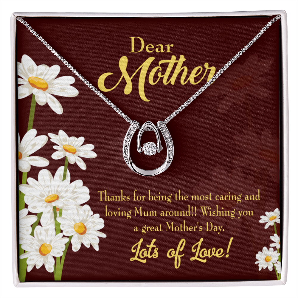 To My Mom Caring and Loving Lucky Horseshoe Necklace Message Card 14k w CZ Crystals-Express Your Love Gifts