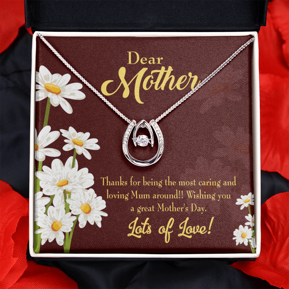 To My Mom Caring and Loving Lucky Horseshoe Necklace Message Card 14k w CZ Crystals-Express Your Love Gifts