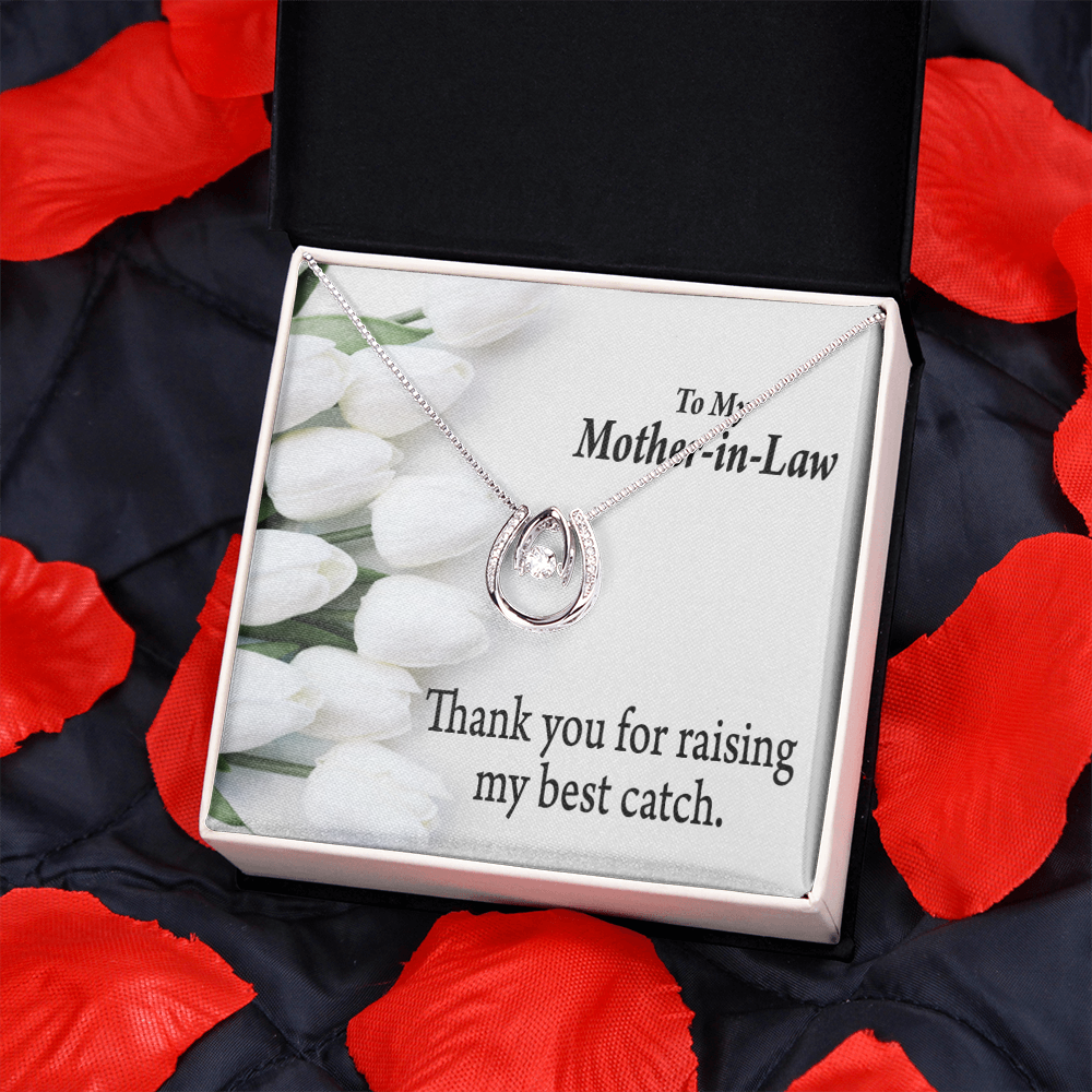 To My Mother-in-Law My Best Catch Lucky Horseshoe Necklace Message Card 14k w CZ Crystals-Express Your Love Gifts