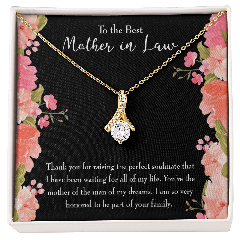 To My Mother-in-Law Perfect Soulmate Alluring Ribbon Necklace Message Card-Express Your Love Gifts