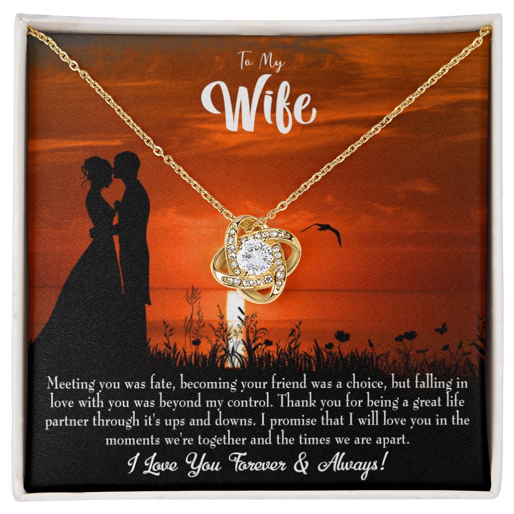 To My Wife Always and Forever Infinity Knot Necklace Message Card-Express Your Love Gifts