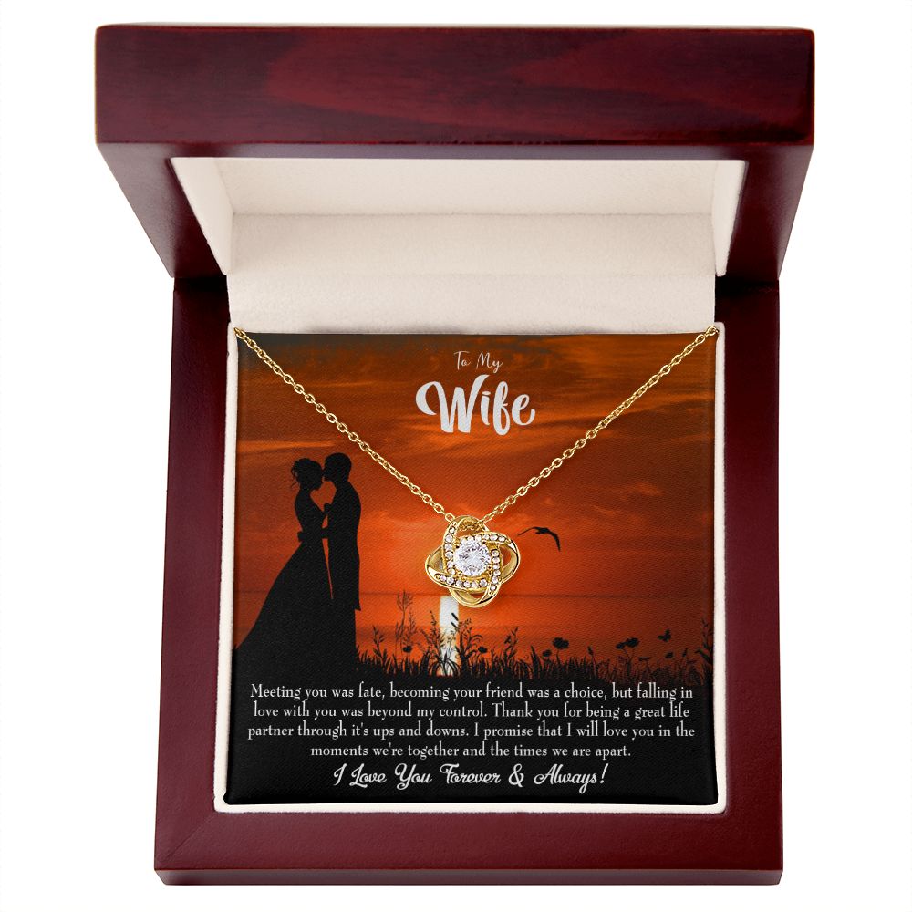 To My Wife Always and Forever Infinity Knot Necklace Message Card-Express Your Love Gifts