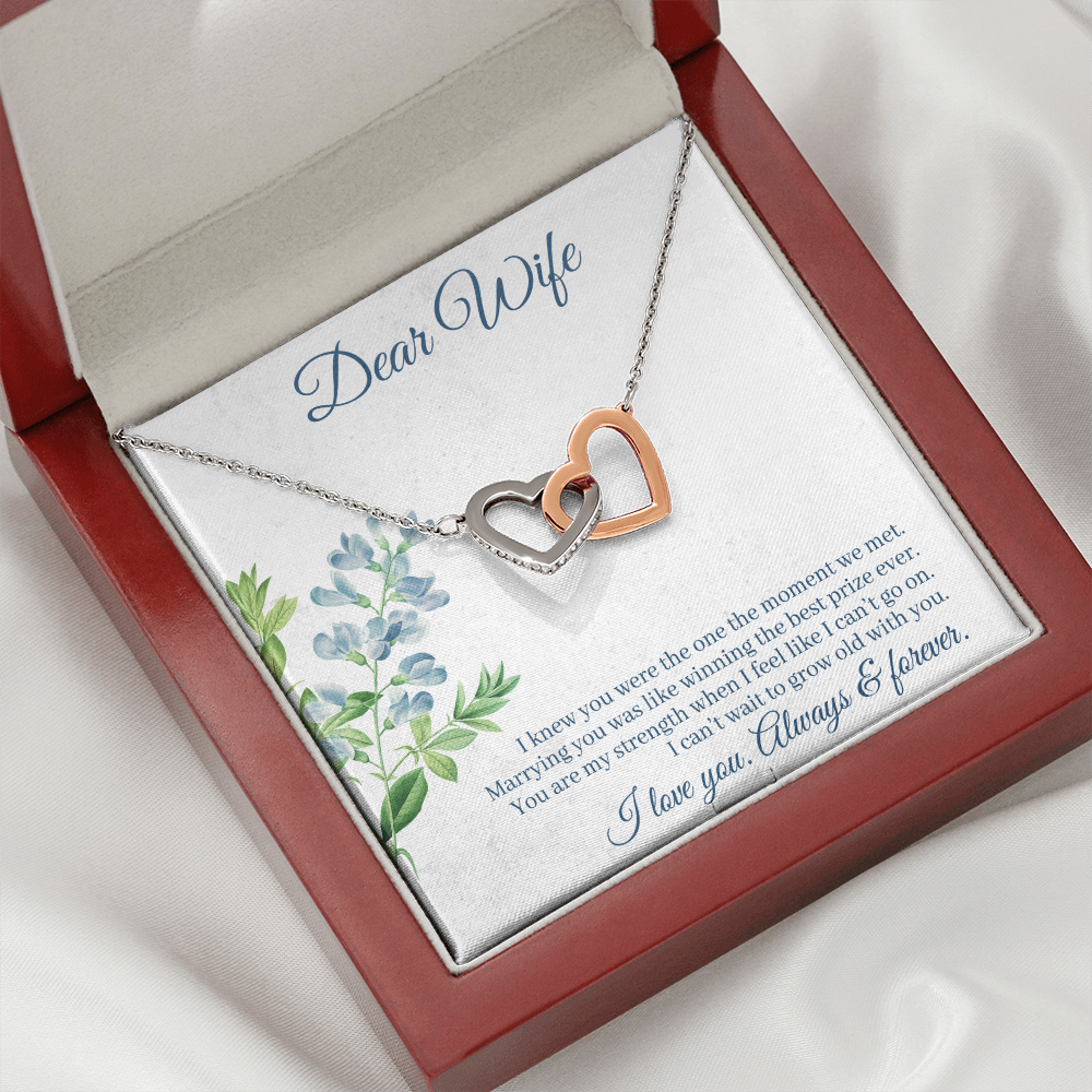 To My Wife Always and Forever Inseparable Necklace-Express Your Love Gifts