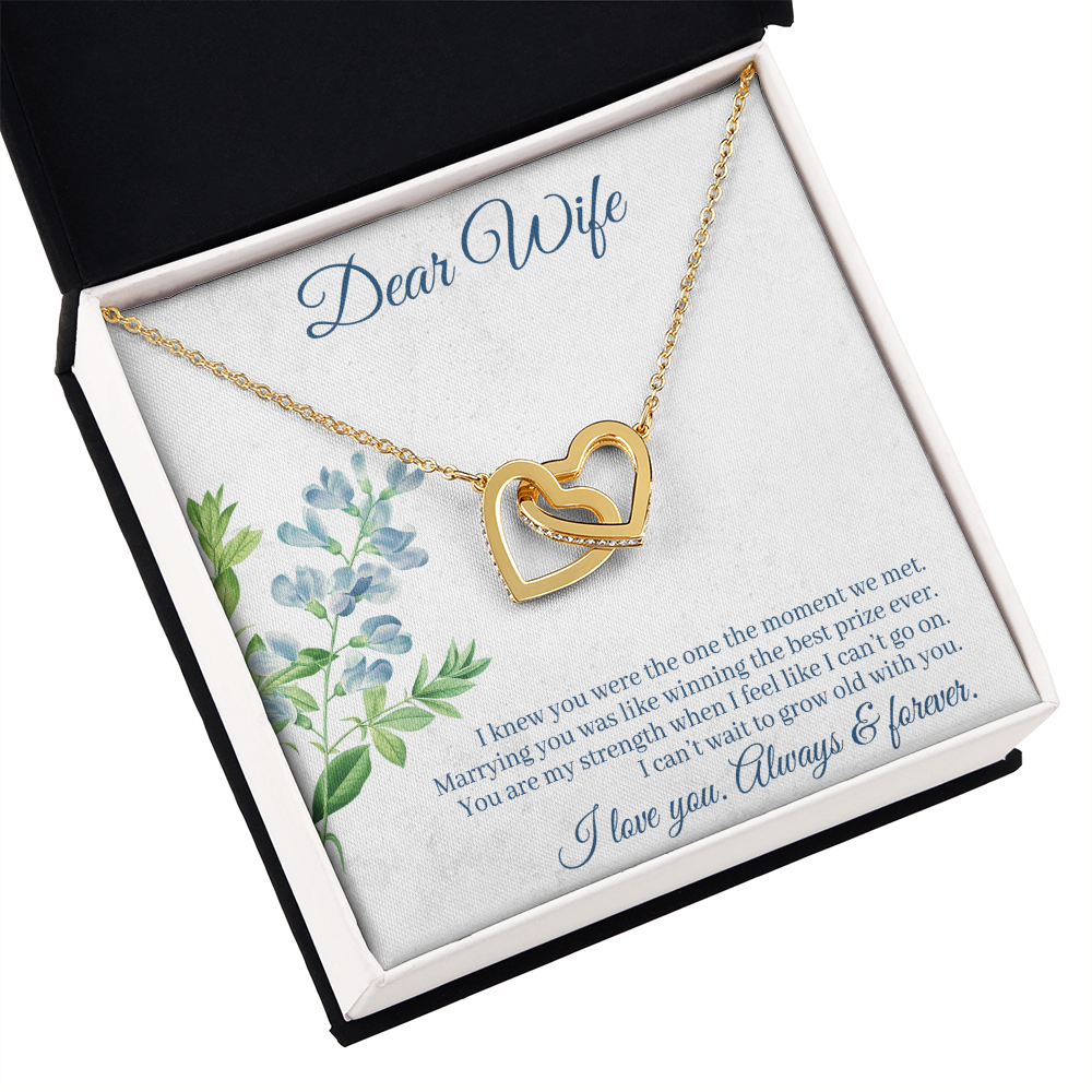 To My Wife Always and Forever Inseparable Necklace-Express Your Love Gifts