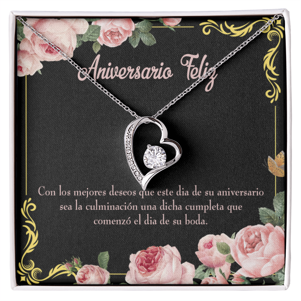 To My Wife Aniversario Feliz Forever Necklace w Message Card-Express Your Love Gifts