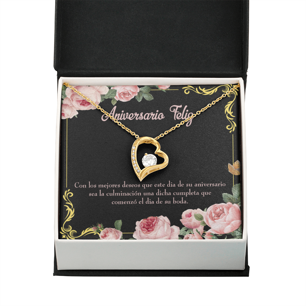 To My Wife Aniversario Feliz Forever Necklace w Message Card-Express Your Love Gifts