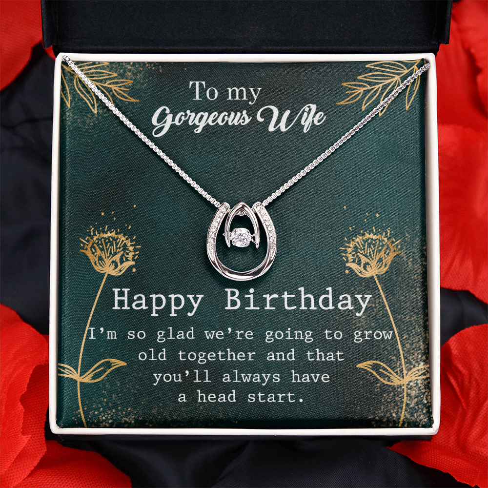 To My Wife Birthday Grow Old Together Lucky Horseshoe Necklace Message Card 14k w CZ Crystals-Express Your Love Gifts