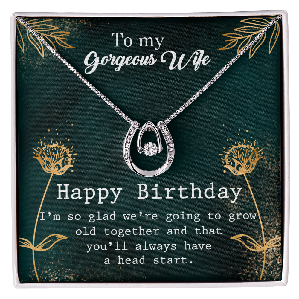To My Wife Birthday Grow Old Together Lucky Horseshoe Necklace Message Card 14k w CZ Crystals-Express Your Love Gifts