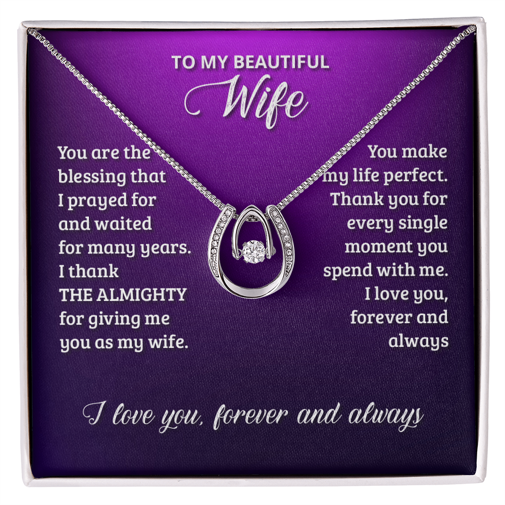 To My Wife Birthday You Are The Blessing Lucky Horseshoe Necklace Message Card 14k w CZ Crystals-Express Your Love Gifts