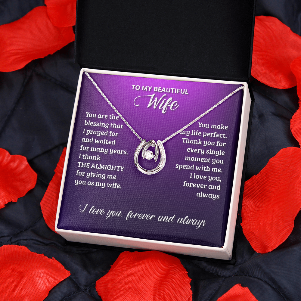 To My Wife Birthday You Are The Blessing Lucky Horseshoe Necklace Message Card 14k w CZ Crystals-Express Your Love Gifts