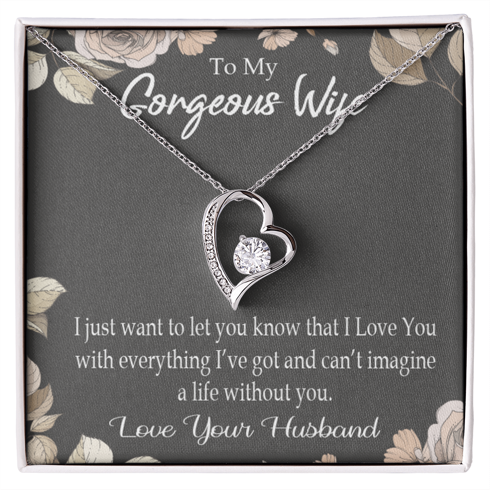 To My Wife Can’t Imagine a Life Without You Forever Necklace w Message Card-Express Your Love Gifts