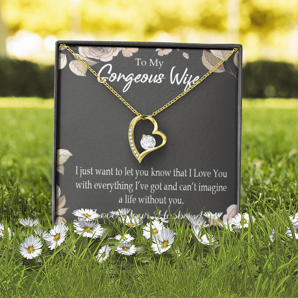 To My Wife Can’t Imagine a Life Without You Forever Necklace w Message Card-Express Your Love Gifts