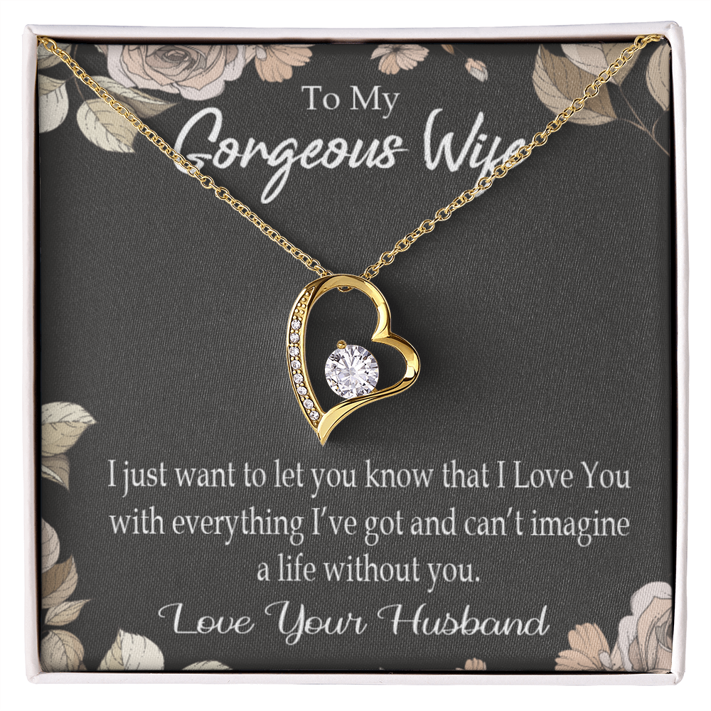 To My Wife Can’t Imagine a Life Without You Forever Necklace w Message Card-Express Your Love Gifts