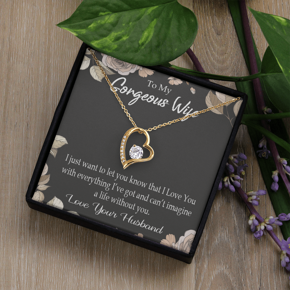 To My Wife Can’t Imagine a Life Without You Forever Necklace w Message Card-Express Your Love Gifts