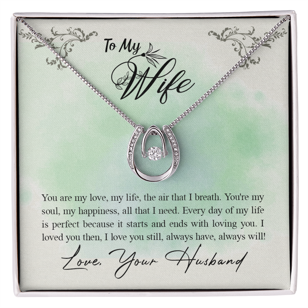 To My Wife Everyday is Perfect w You Horseshoe Necklace Message Card 14k w CZ Crystals-Express Your Love Gifts