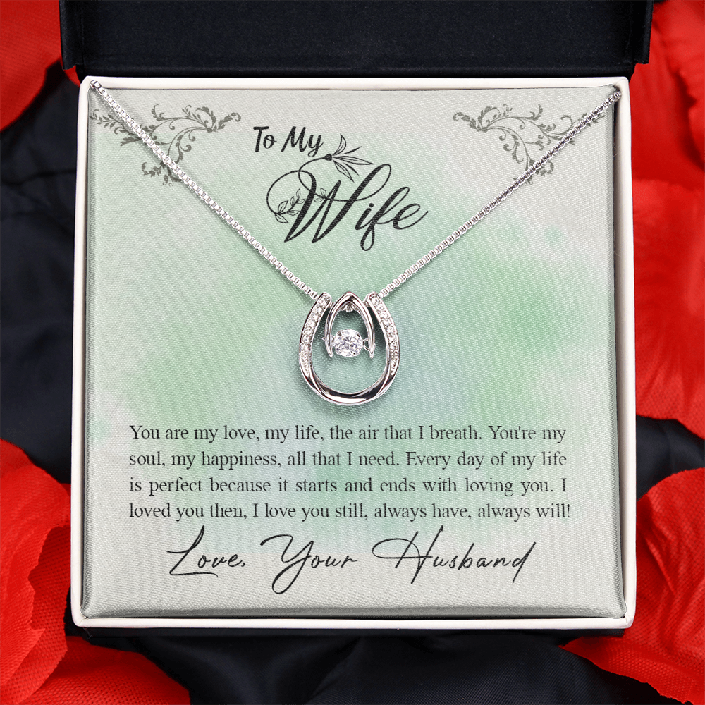 To My Wife Everyday is Perfect w You Horseshoe Necklace Message Card 14k w CZ Crystals-Express Your Love Gifts