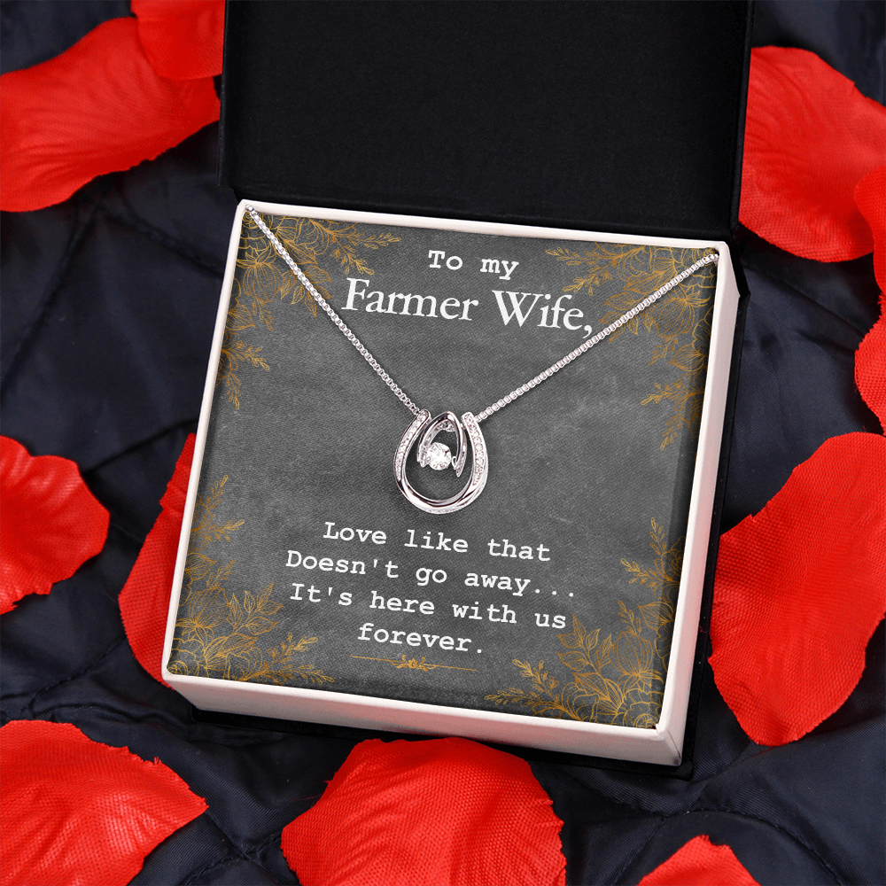 To My Wife Farmer Wife Lucky Horseshoe Necklace Message Card 14k w CZ Crystals-Express Your Love Gifts