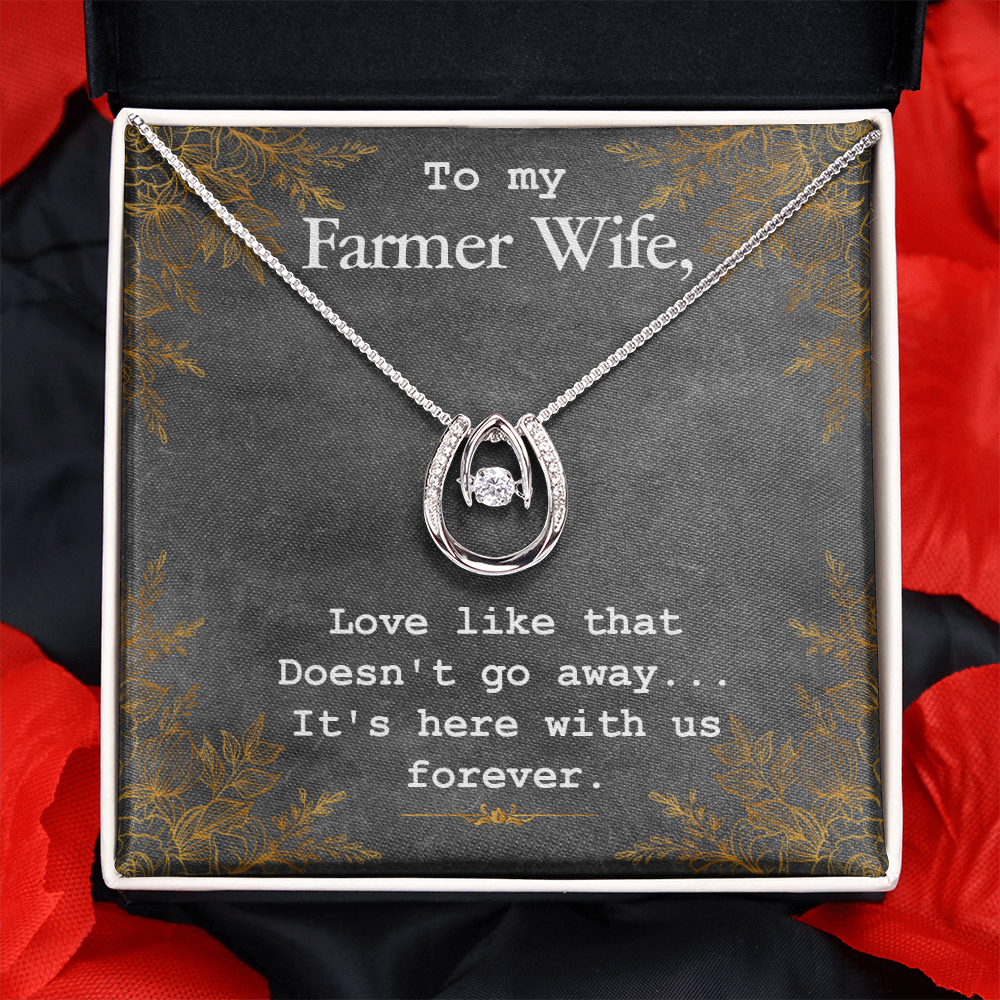 To My Wife Farmer Wife Lucky Horseshoe Necklace Message Card 14k w CZ Crystals-Express Your Love Gifts