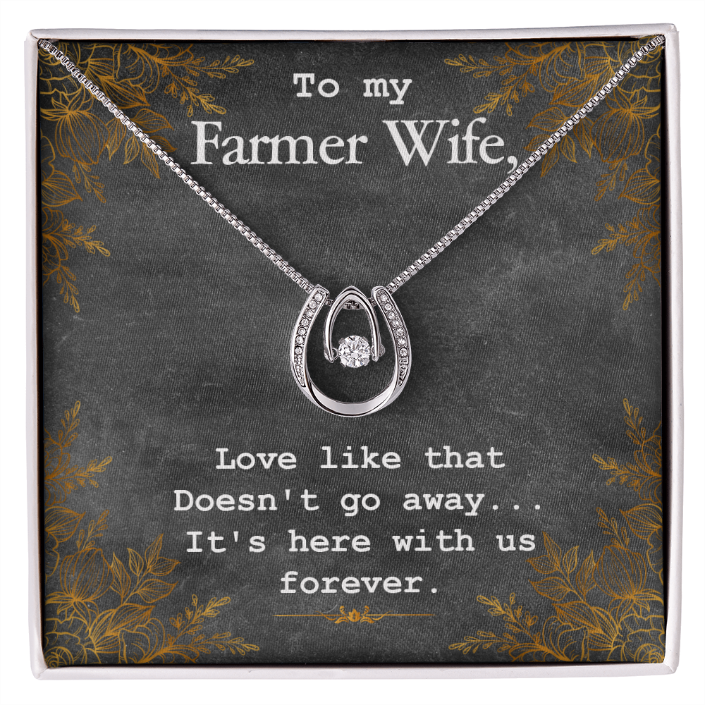 To My Wife Farmer Wife Lucky Horseshoe Necklace Message Card 14k w CZ Crystals-Express Your Love Gifts