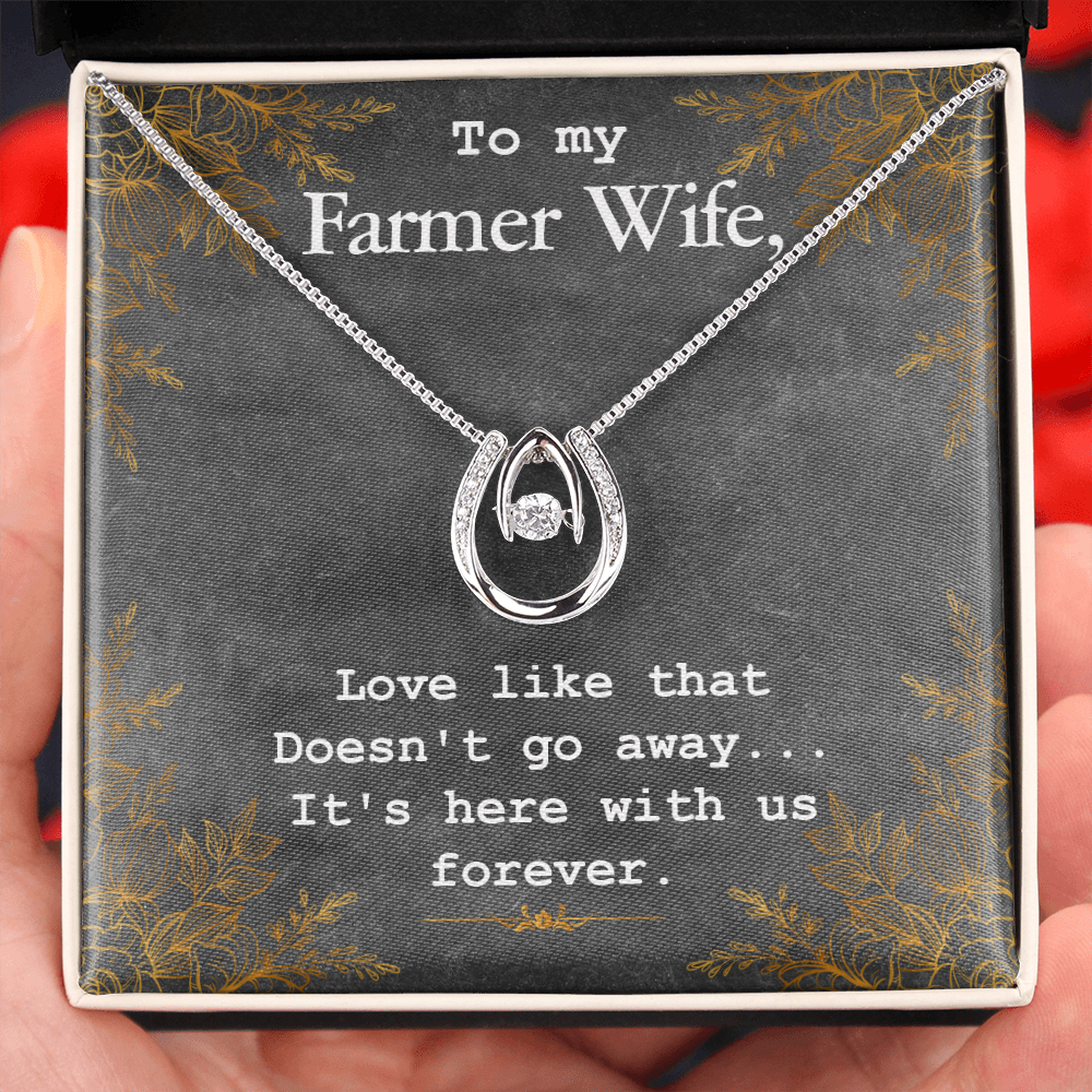 To My Wife Farmer Wife Lucky Horseshoe Necklace Message Card 14k w CZ Crystals-Express Your Love Gifts