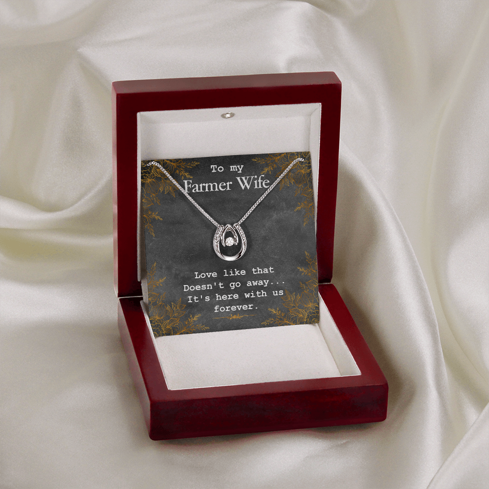 To My Wife Farmer Wife Lucky Horseshoe Necklace Message Card 14k w CZ Crystals-Express Your Love Gifts