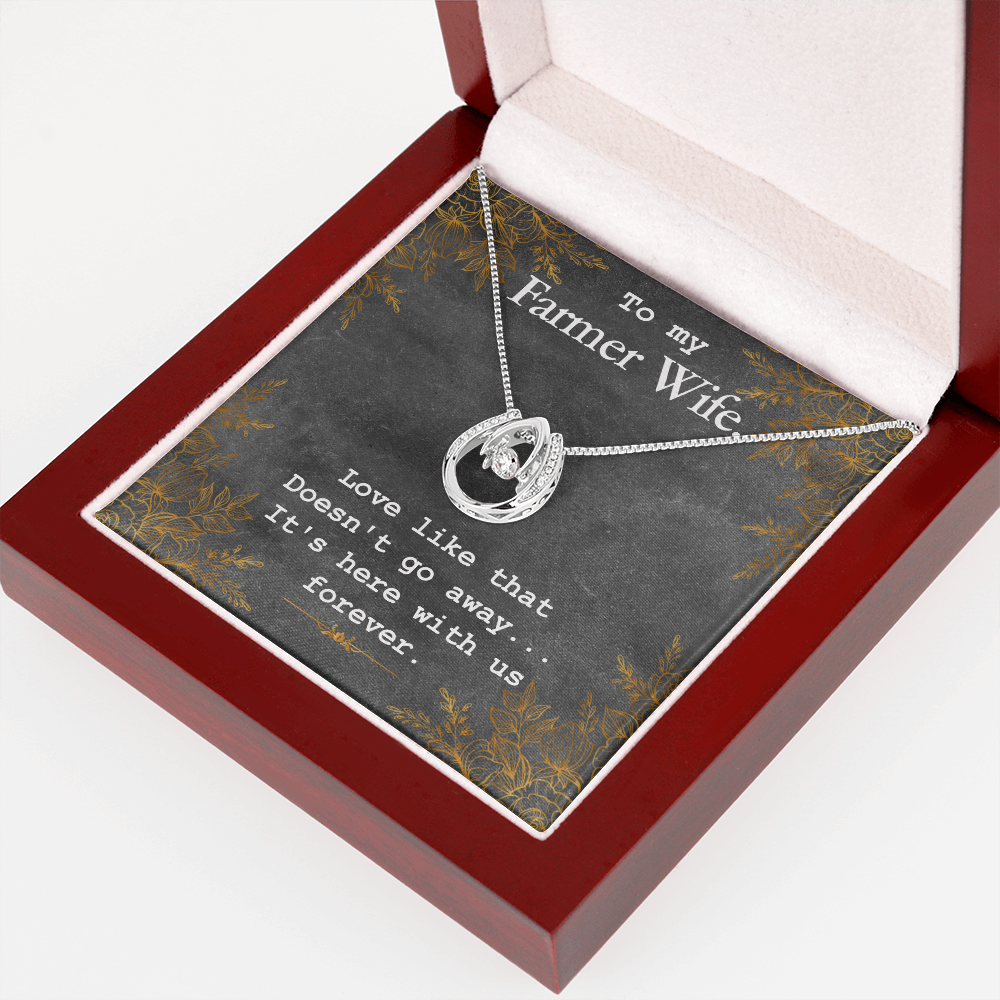 To My Wife Farmer Wife Lucky Horseshoe Necklace Message Card 14k w CZ Crystals-Express Your Love Gifts