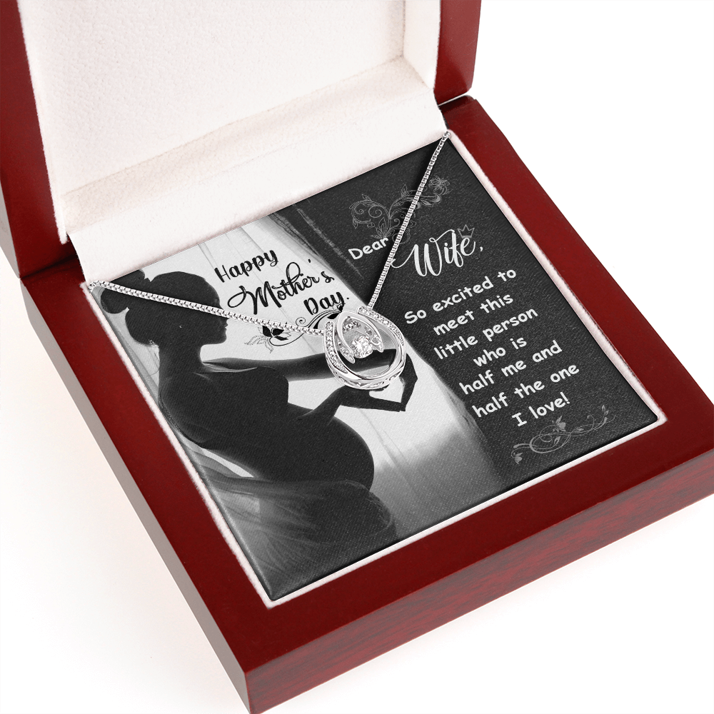 To My Wife Half Me Lucky Horseshoe Necklace Message Card 14k w CZ Crystals-Express Your Love Gifts