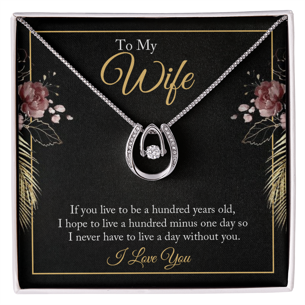 To My Wife Hundred Years Lucky Horseshoe Necklace Message Card 14k w CZ Crystals-Express Your Love Gifts