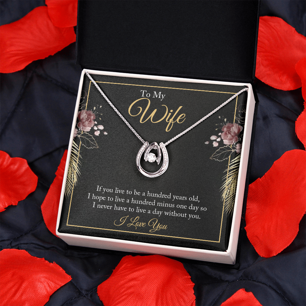 To My Wife Hundred Years Lucky Horseshoe Necklace Message Card 14k w CZ Crystals-Express Your Love Gifts