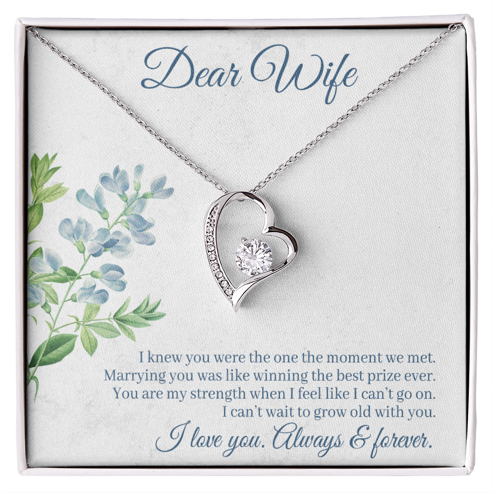 To My Wife I Knew You Were The One Forever Necklace w Message Card-Express Your Love Gifts