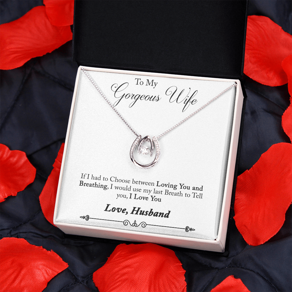 To My Wife If I Had to Choose Lucky Horseshoe Necklace Message Card 14k w CZ Crystals-Express Your Love Gifts