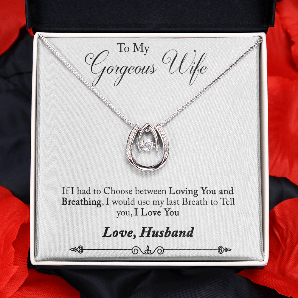 To My Wife If I Had to Choose Lucky Horseshoe Necklace Message Card 14k w CZ Crystals-Express Your Love Gifts