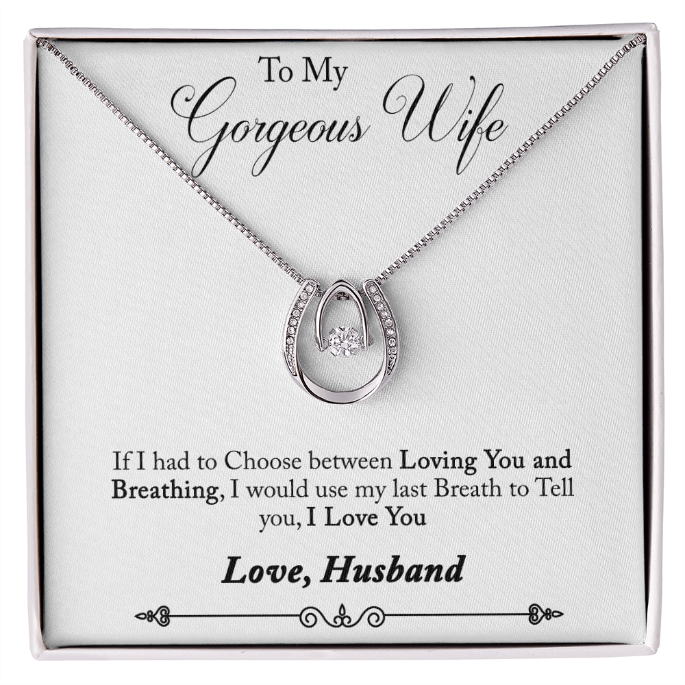 To My Wife If I Had to Choose Lucky Horseshoe Necklace Message Card 14k w CZ Crystals-Express Your Love Gifts