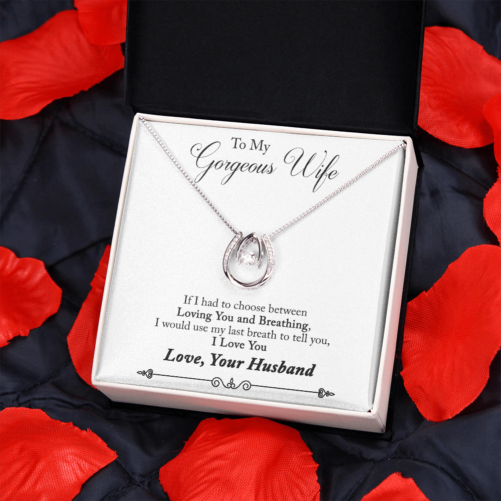 To My Wife Last Breath Plain Lucky Horseshoe Necklace Message Card 14k w CZ Crystals-Express Your Love Gifts