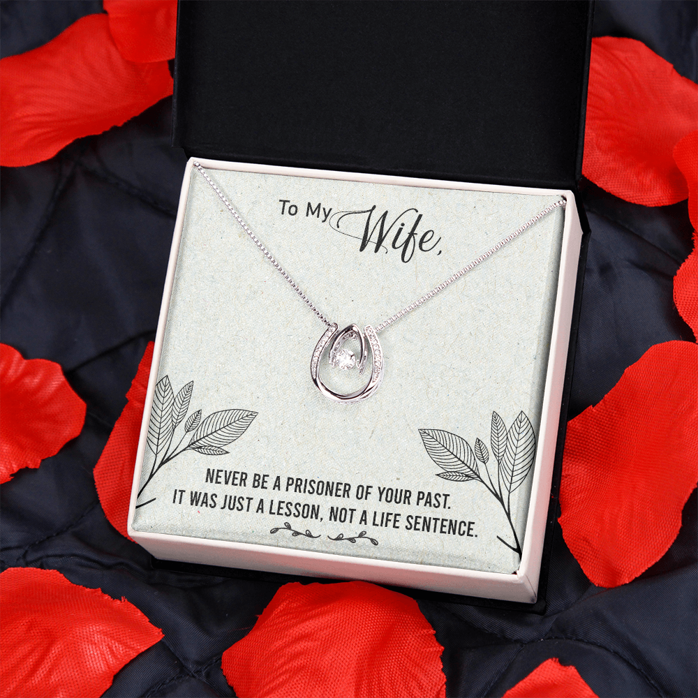 To My Wife Life Sentence Lucky Horseshoe Necklace Message Card 14k w CZ Crystals-Express Your Love Gifts