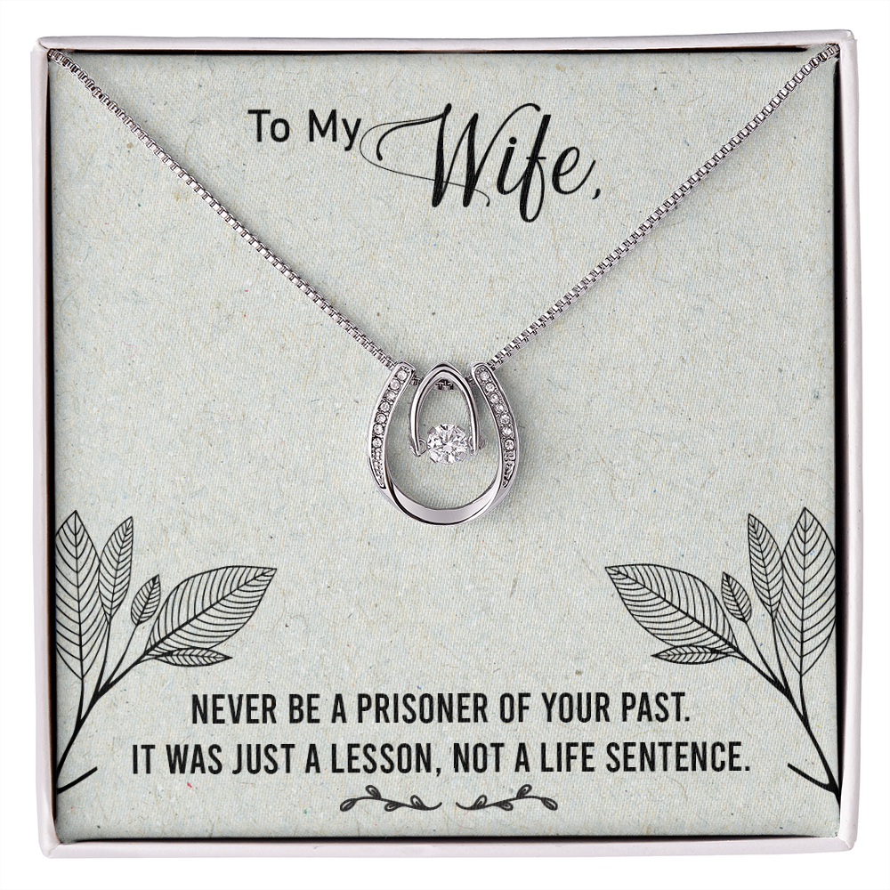 To My Wife Life Sentence Lucky Horseshoe Necklace Message Card 14k w CZ Crystals-Express Your Love Gifts