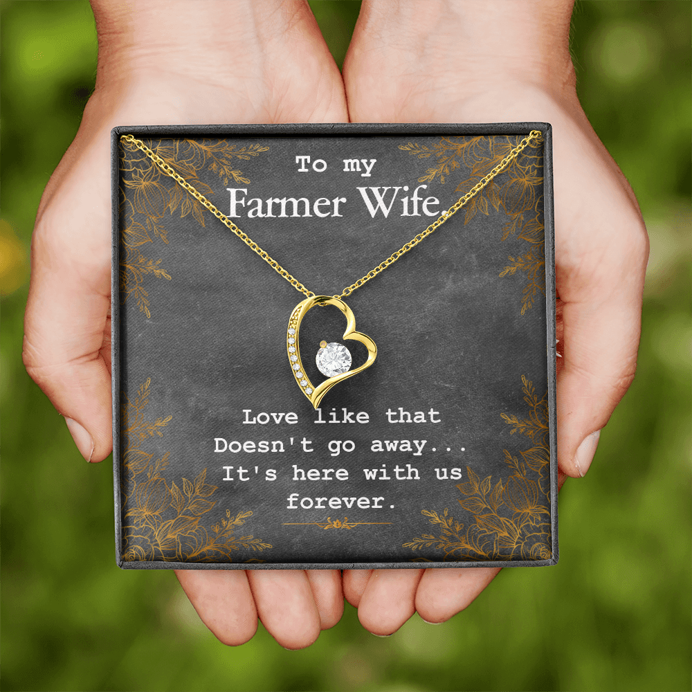 To My Wife Love Like That Doesn't Go Away Farmer Wife Forever Necklace w Message Card-Express Your Love Gifts