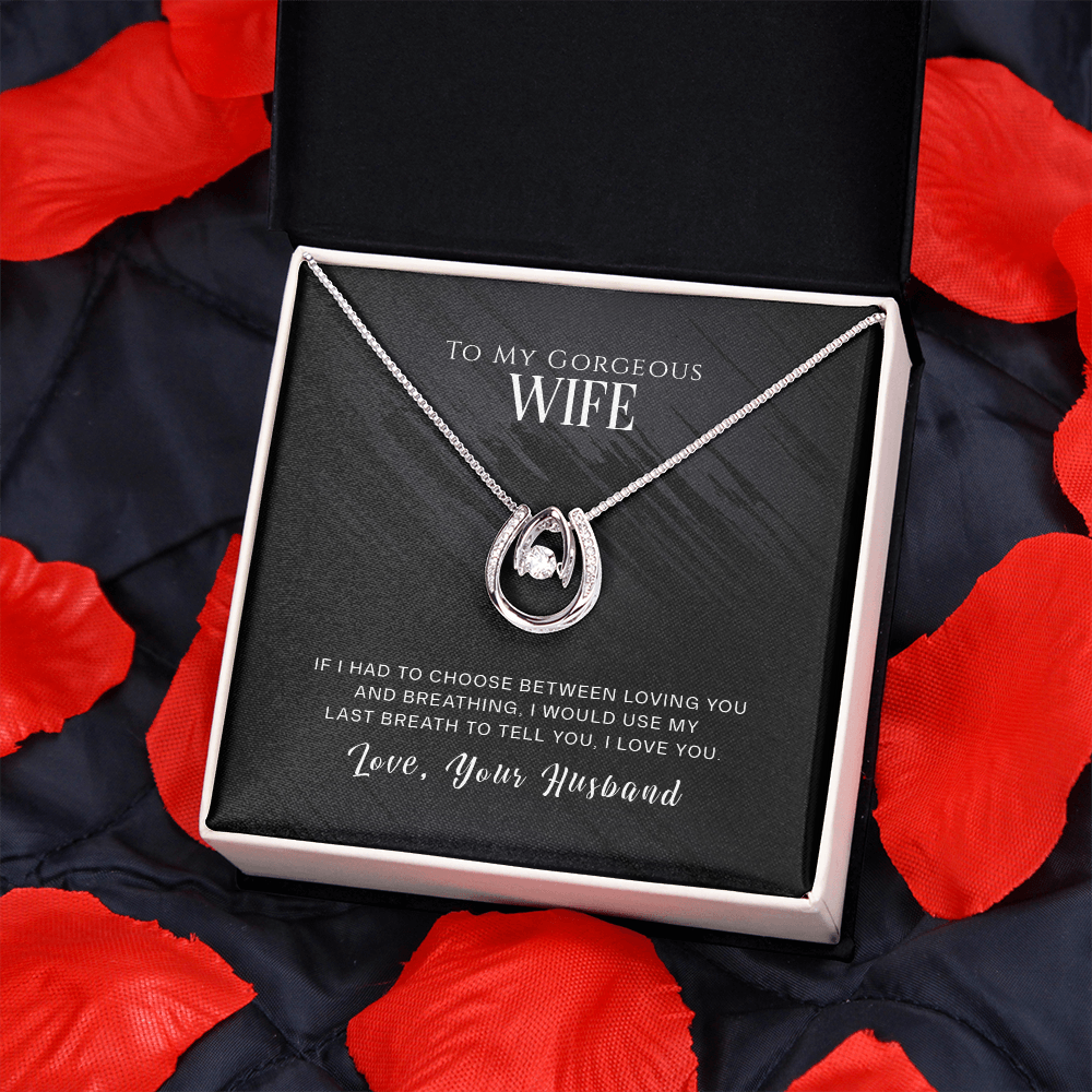 To My Wife Loving and Breathing Lucky Horseshoe Necklace Message Card 14k w CZ Crystals-Express Your Love Gifts