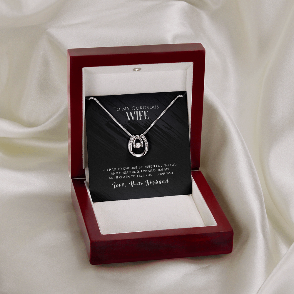 To My Wife Loving and Breathing Lucky Horseshoe Necklace Message Card 14k w CZ Crystals-Express Your Love Gifts