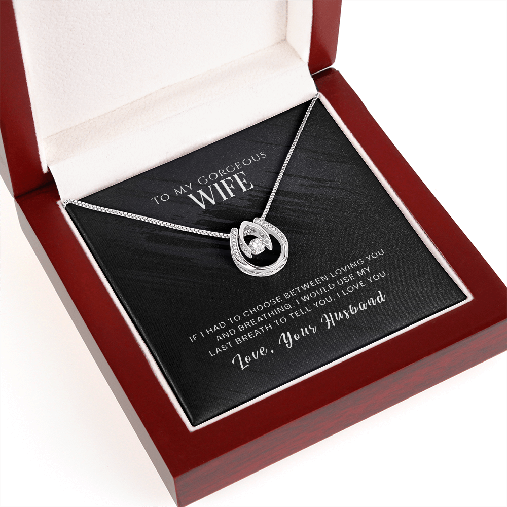 To My Wife Loving and Breathing Lucky Horseshoe Necklace Message Card 14k w CZ Crystals-Express Your Love Gifts