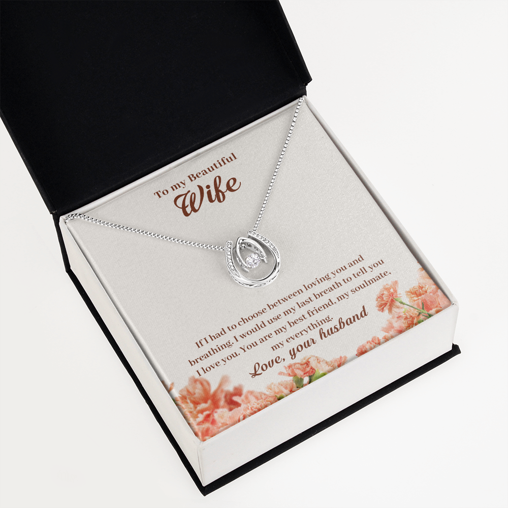 To My Wife Loving & Breathing My Everything Lucky Horseshoe Necklace Message Card 14k w CZ Crystals-Express Your Love Gifts