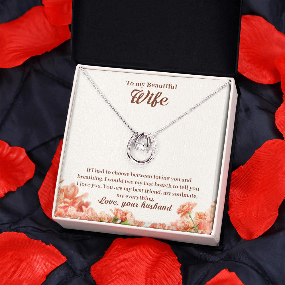 To My Wife Loving & Breathing My Everything Lucky Horseshoe Necklace Message Card 14k w CZ Crystals-Express Your Love Gifts