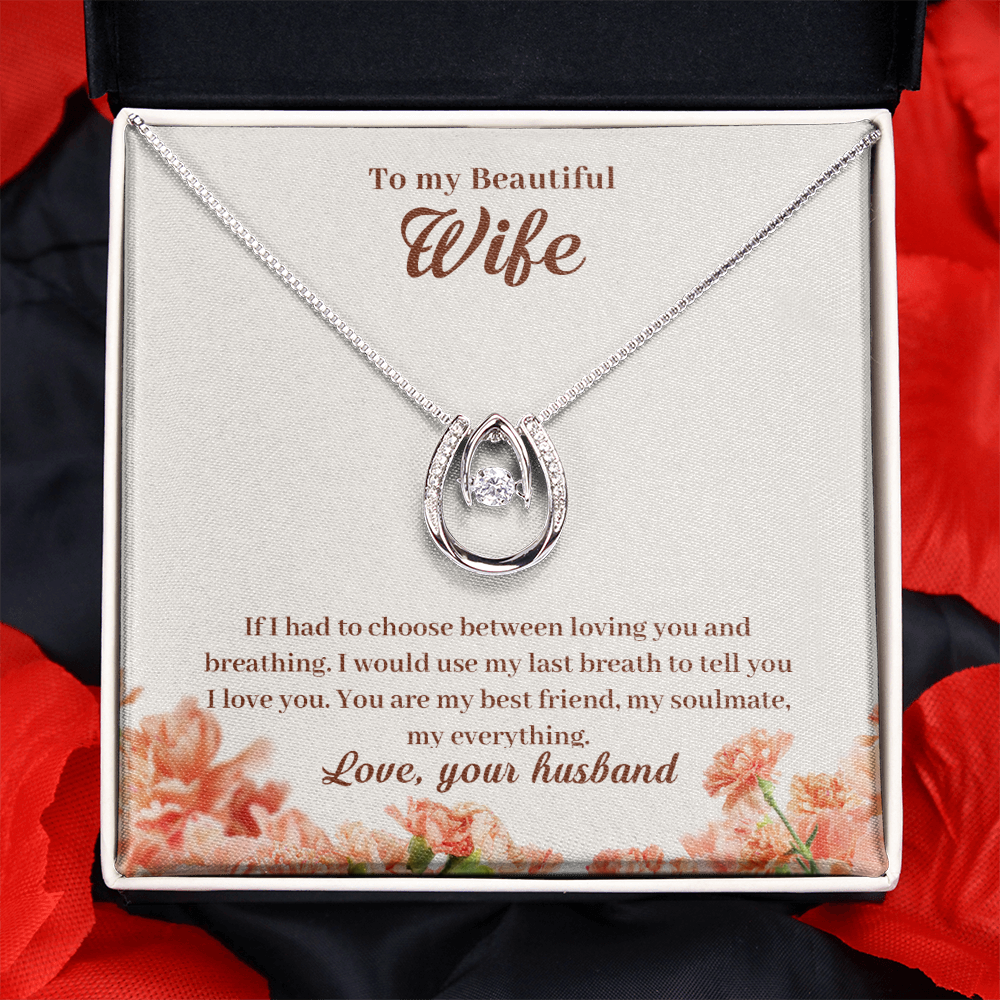 To My Wife Loving & Breathing My Everything Lucky Horseshoe Necklace Message Card 14k w CZ Crystals-Express Your Love Gifts