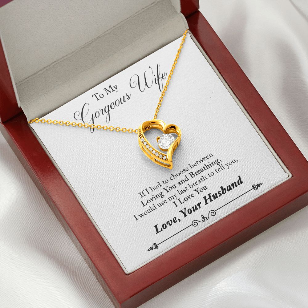 To My Wife Loving You and Breathing From Husband Forever Necklace w Message Card-Express Your Love Gifts