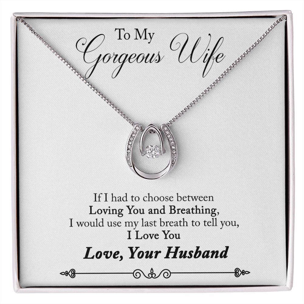 To My Wife Loving You and Breathing Lucky Horseshoe Necklace Message Card 14k w CZ Crystals-Express Your Love Gifts