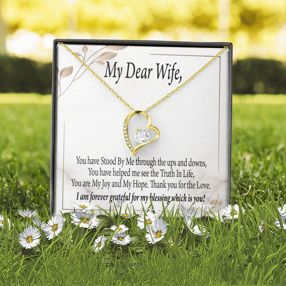 To My Wife My Dear Wife Forever Necklace w Message Card-Express Your Love Gifts