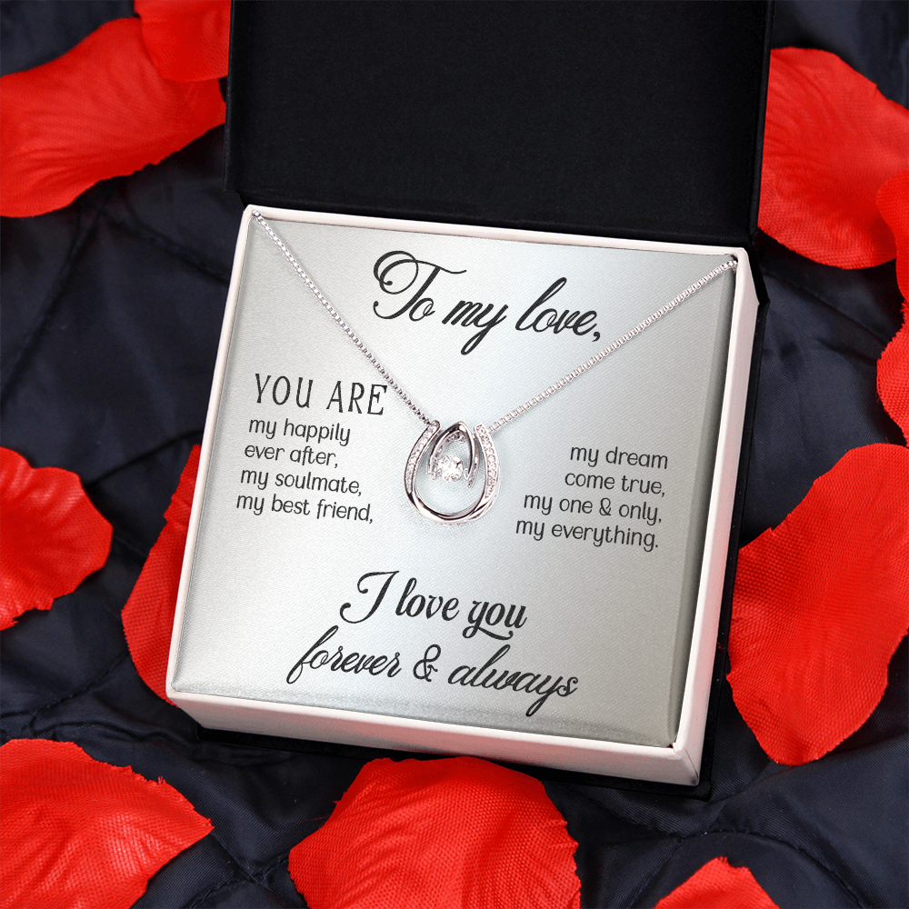 To My Wife My Dream Come True Lucky Horseshoe Necklace Message Card 14k w CZ Crystals-Express Your Love Gifts