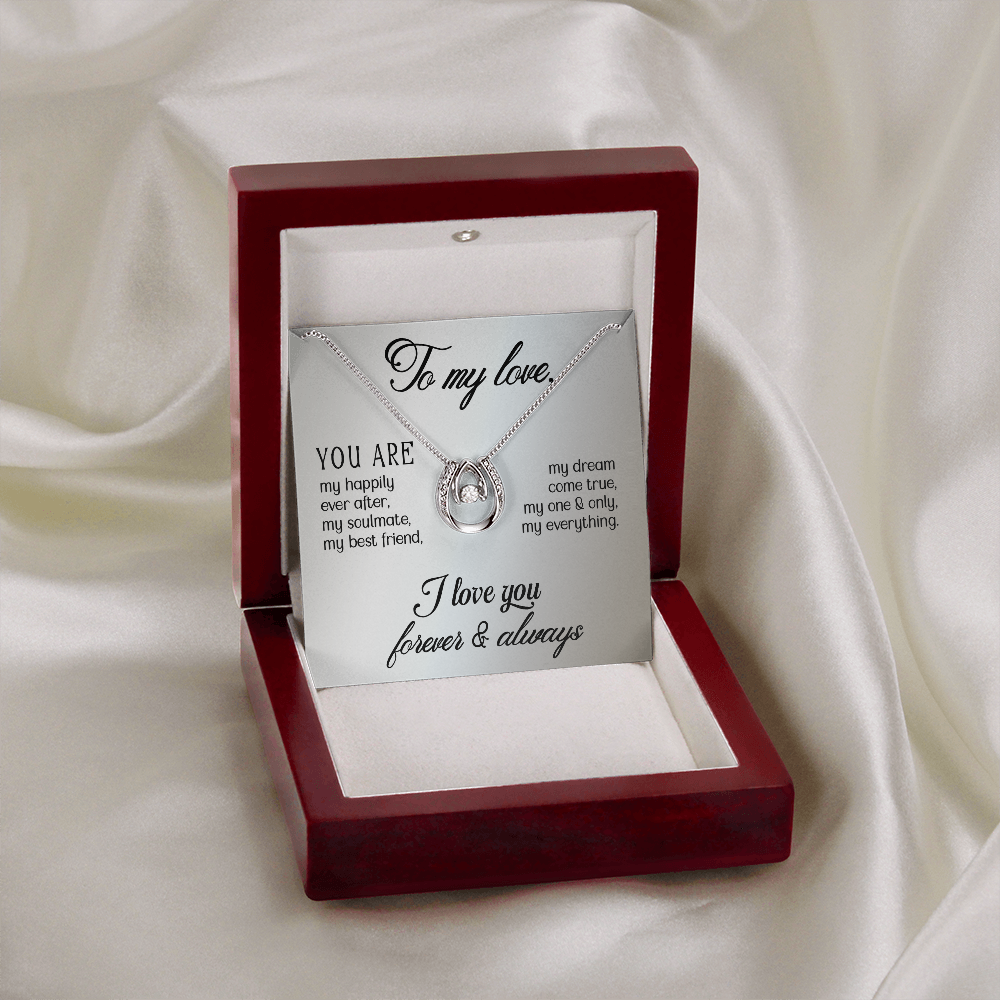 To My Wife My Dream Come True Lucky Horseshoe Necklace Message Card 14k w CZ Crystals-Express Your Love Gifts