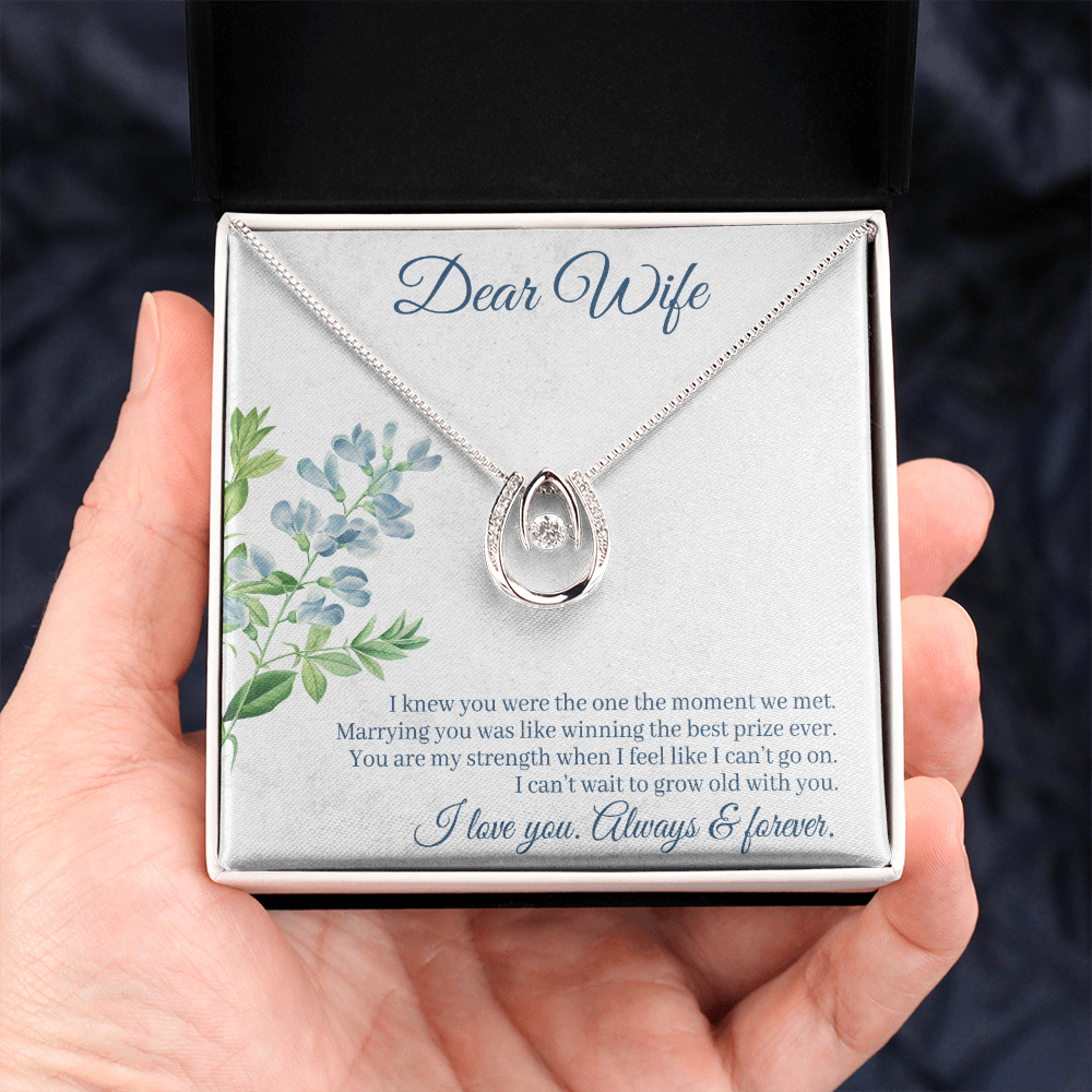 To My Wife One Moment Lucky Horseshoe Necklace Message Card 14k w CZ Crystals-Express Your Love Gifts